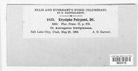 Image Associated With the Occurence